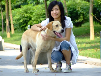 广东【风中的绿叶】