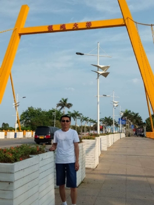 陇南【陇徽苗木】