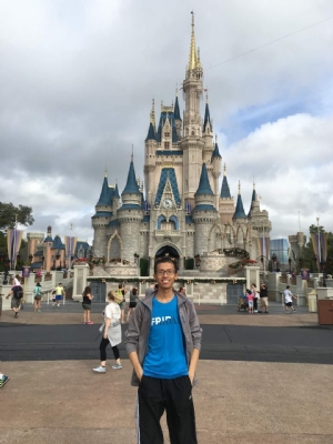 海淀区【太阳花】