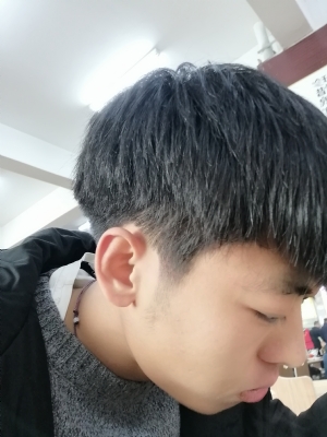 黄浦区【花开落叶之后】