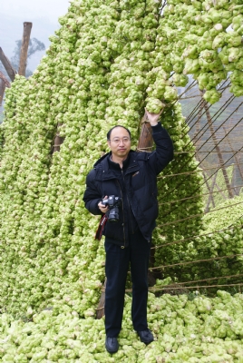 昌平区【蓝色的海】