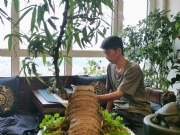 辽源东丰【成个家】自驾游活动