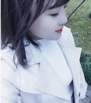 珠海【爱小狗的哈尼】